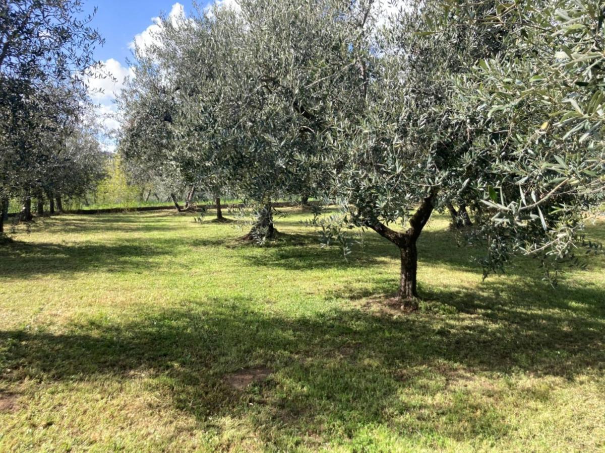 Villa in casa Colonica Loro Ciuffenna Esterno foto